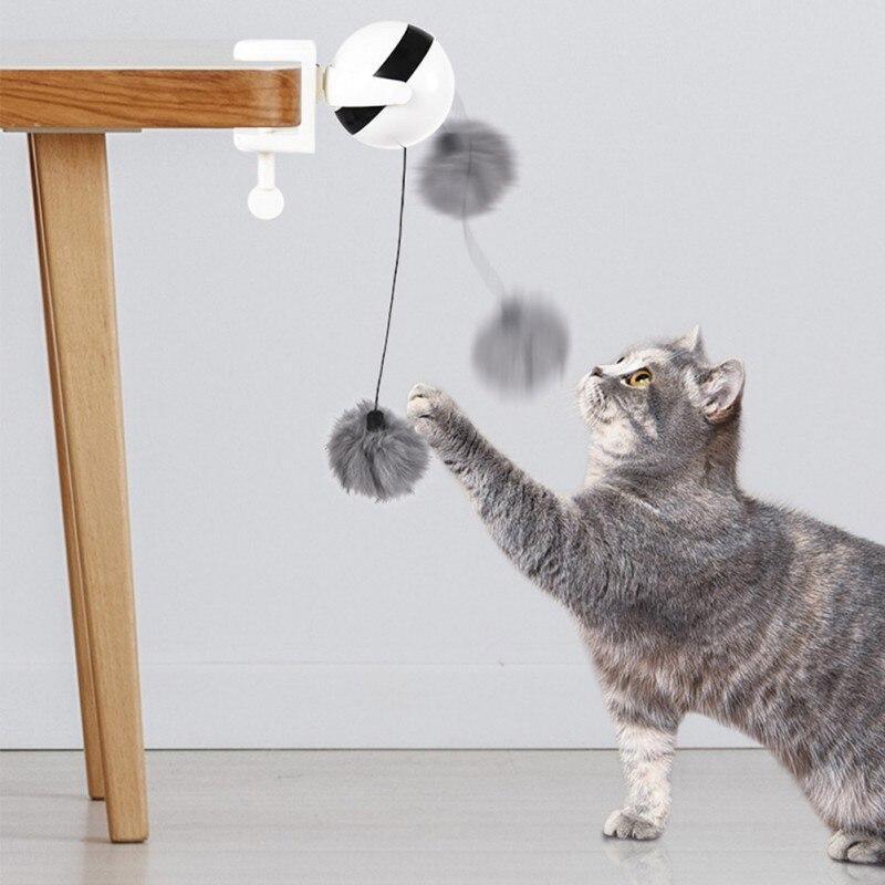 Brinquedo Interativo Para Gatos - Amerloja