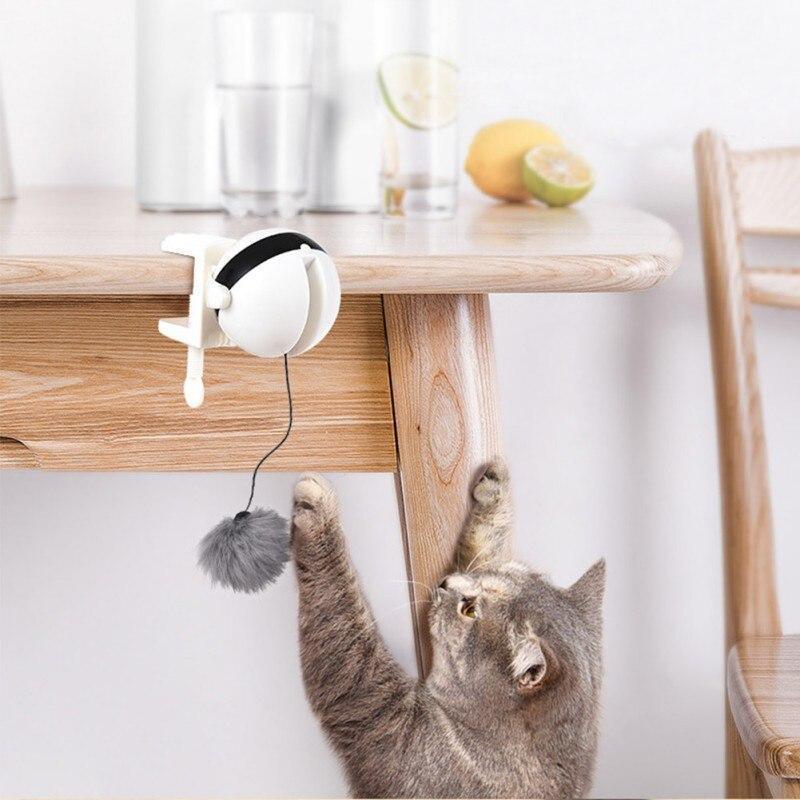 Brinquedo Interativo Para Gatos - Amerloja
