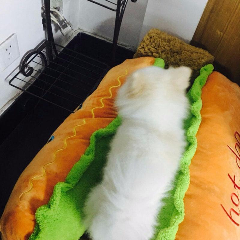 Cama para Pets - Hot Dog - Amerloja