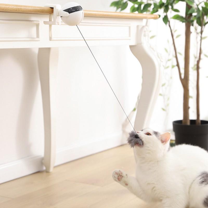 Brinquedo Interativo Para Gatos - Amerloja
