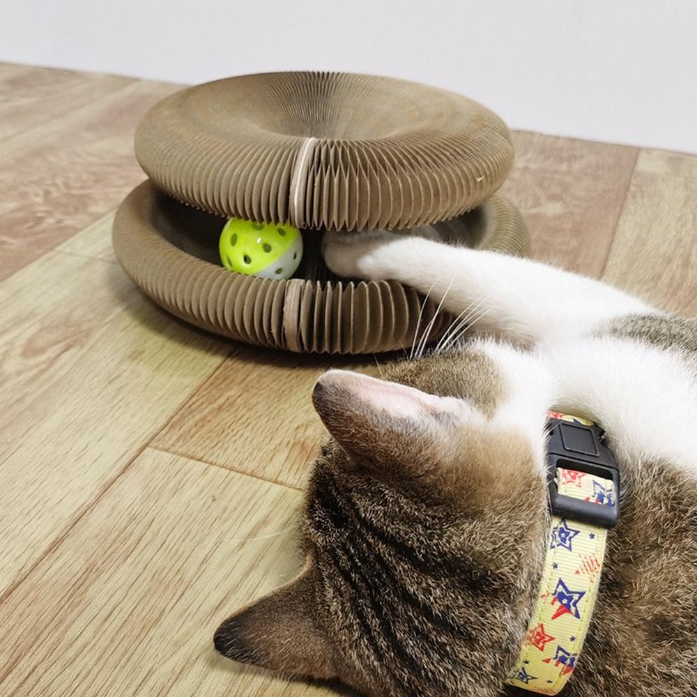 Brinquedo Interativo Para Gatos I Cat Joy + 1 Bola de Brinde - Amerloja