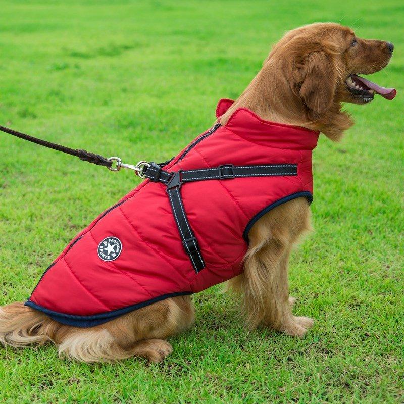 Colete Corta-Vento Pet Jones™ | Roupa Para Cachorro - Amerloja