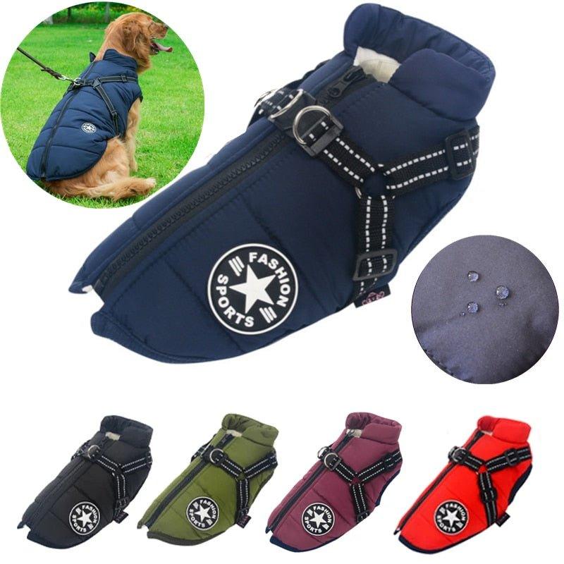 Colete Corta-Vento Pet Jones™ | Roupa Para Cachorro - Amerloja
