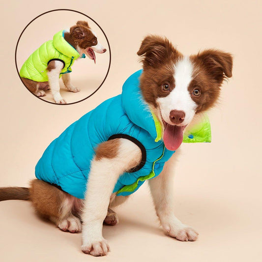 Colete Pet Alby™ Dupla-Face 3 Camadas | Roupa Para Cachorro - Amerloja