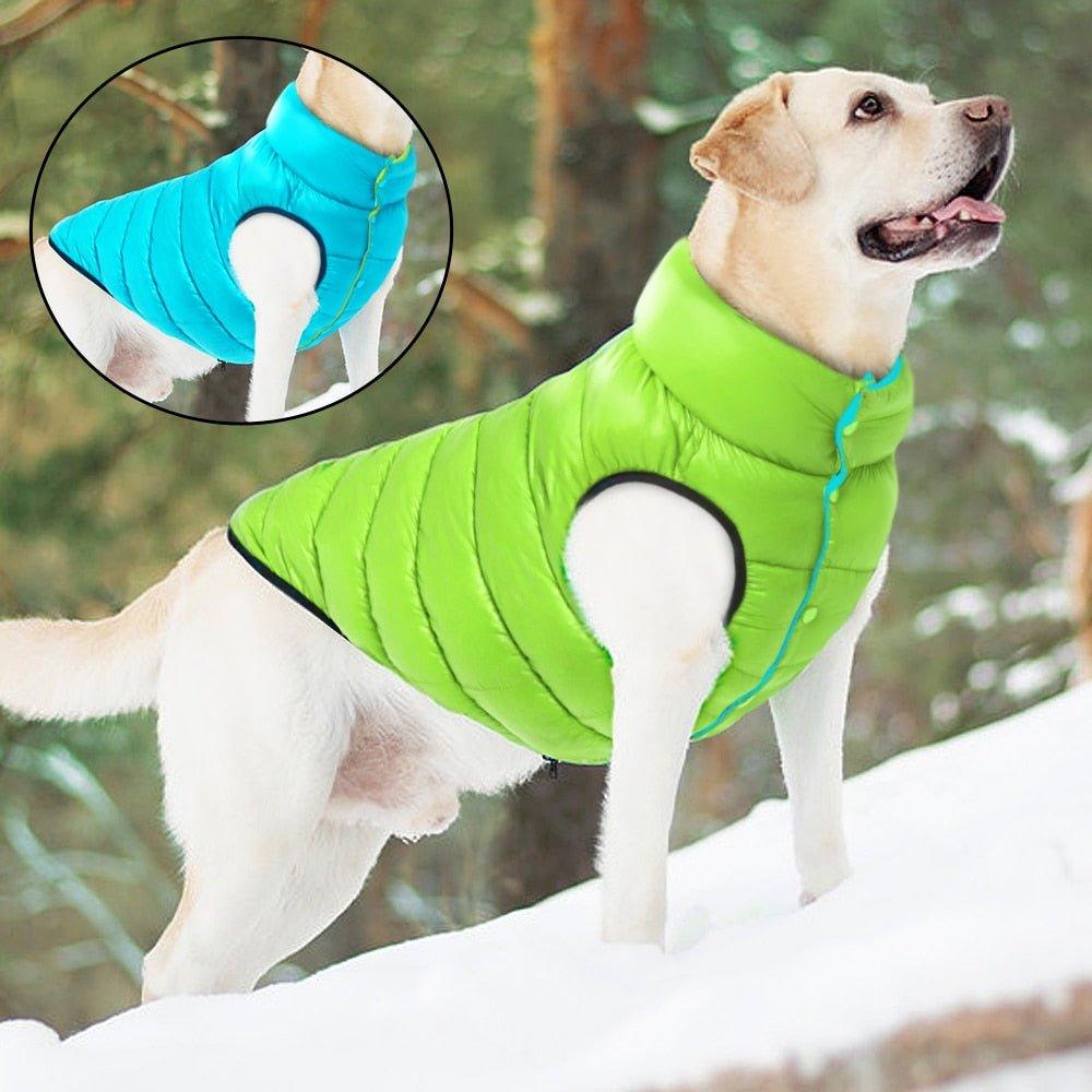 Colete Pet Alby™ Dupla-Face 3 Camadas | Roupa Para Cachorro - Amerloja