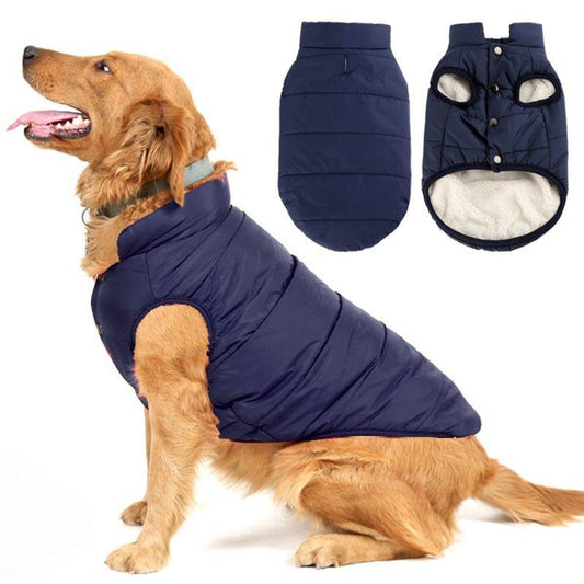 Colete Pet Steve™ | Roupa Para Cachorro - Amerloja