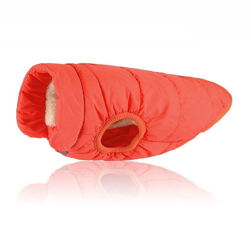 Colete Pet Steve™ | Roupa Para Cachorro - Amerloja