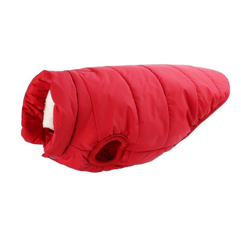 Colete Pet Steve™ | Roupa Para Cachorro - Amerloja