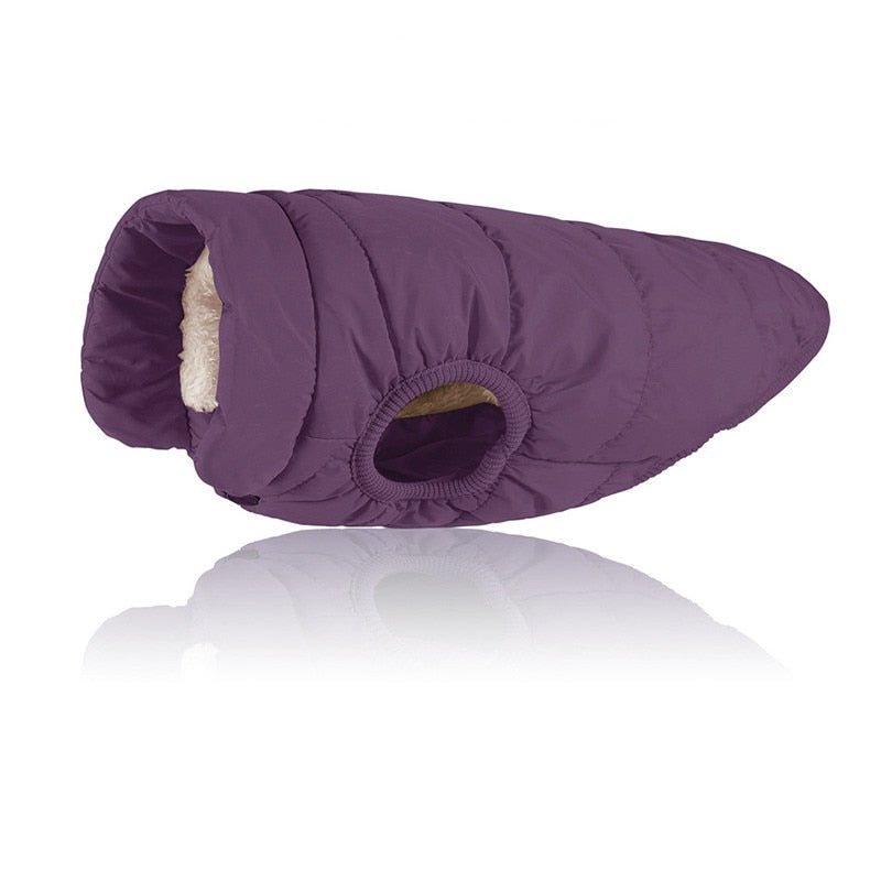 Colete Pet Steve™ | Roupa Para Cachorro - Amerloja