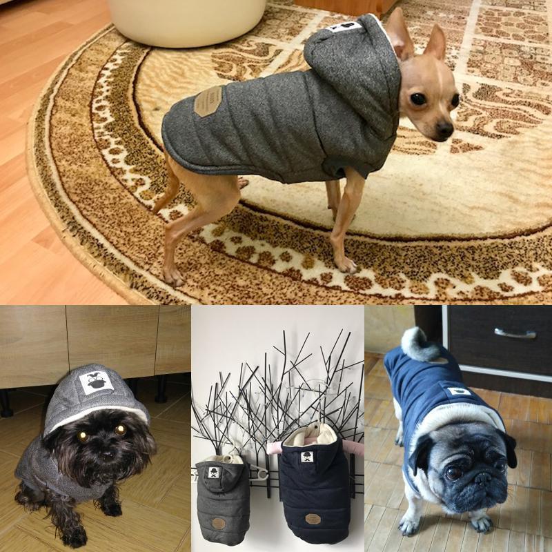 Colete de Inverno para Cachorros | Gentleman - Amerloja