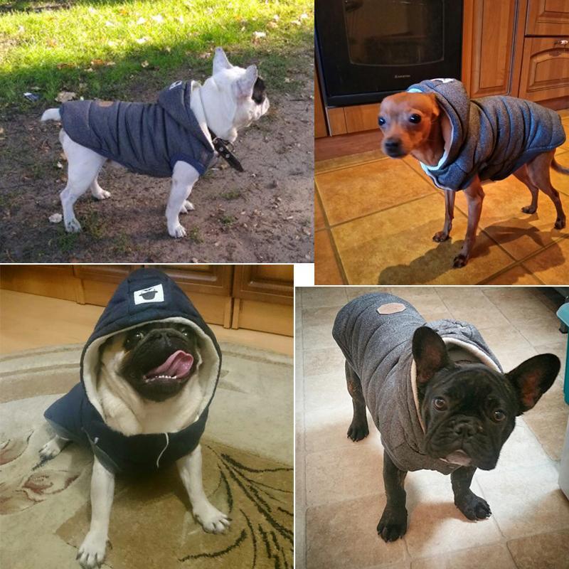 Colete de Inverno para Cachorros | Gentleman - Amerloja