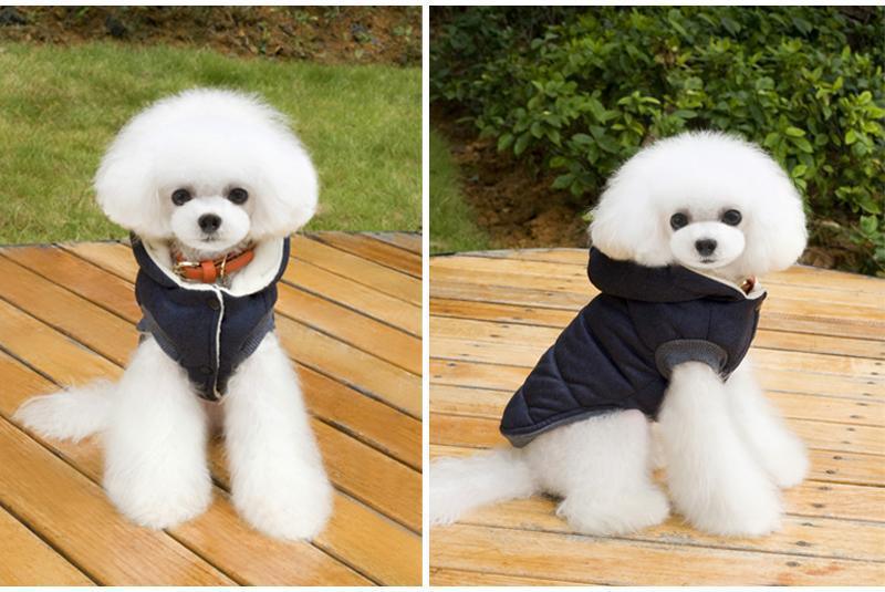 Colete de Inverno para Cachorros | Gentleman - Amerloja