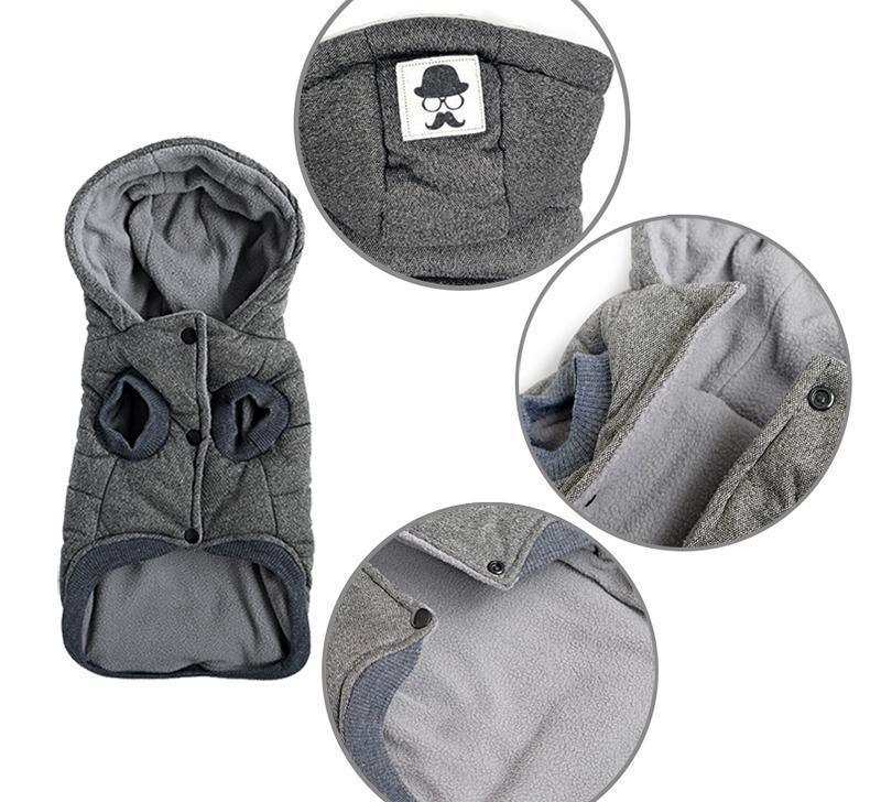 Colete de Inverno para Cachorros | Gentleman - Amerloja
